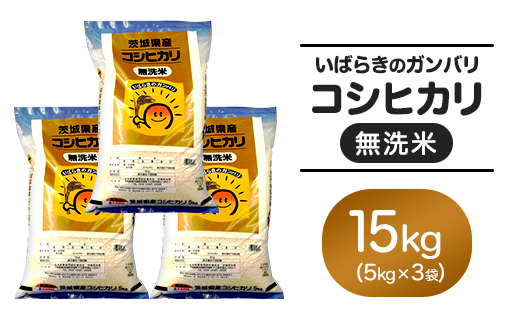 153yߘa7NYz錧Y  RVqJ 15kg (5kg×3)錧钬46000āEp