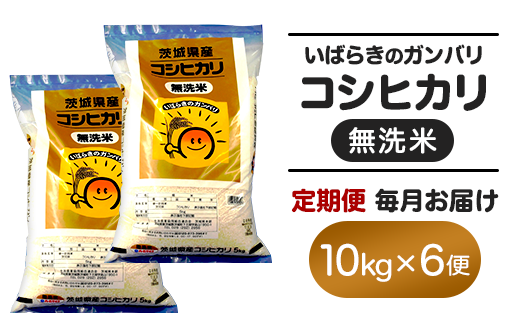 160yߘa7NYz6 錧Y  RVqJ 10kg錧钬184000āEp