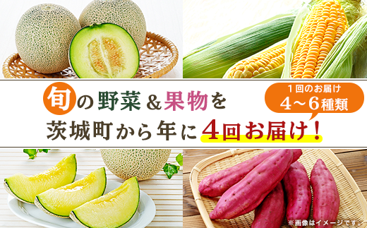 162  ʕ t[c  钬 { N4 ͂ y  Tc}C Ƃ낱 錧钬40000؁Ê̑ 