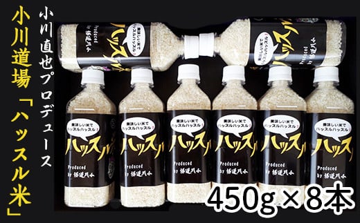 176【令和7年産】小川直也プロデュース ハッスル米 3.6kg(450g×8本)【野口ライス】茨城県茨城町27000米・パン白米