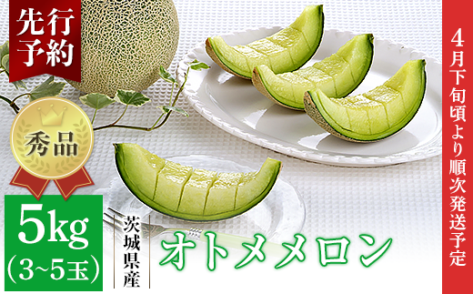 082-2 オトメメロン 秀品 3~5玉 約5kg 茨城県 JA水戸産茨城県茨城町16000果物・フルーツメロン・スイカ