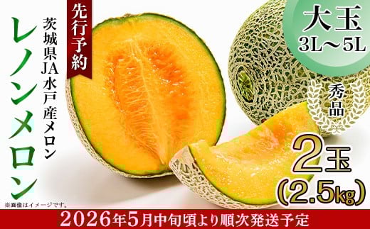 213 レノンメロン 秀品 大玉 2玉 約2.5kg 茨城県 JA水戸産 めろん 赤肉 先行予約 2026年5月中旬頃より発送予定茨城県茨城町11000果物・フルーツメロン・スイカ