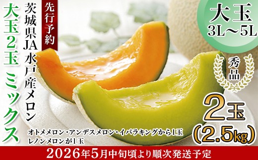 214錧JAˎYyGiz2ʃ~bNX(2.5kg)y2026N5{蔭\z錧钬11000ʕEt[c̑ ʕEt[c