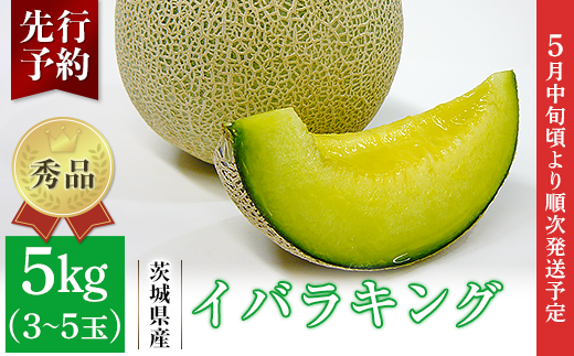 082-3 イバラキング 秀品 3~5玉 約5kg 茨城県 JA水戸産茨城県茨城町17000果物・フルーツメロン・スイカ