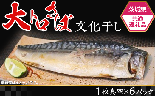 497【茨城県共通返礼品/神栖市】大トロさば文化干し茨城県茨城町10000魚介・海産物干物