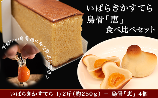 381烏骨「恵」4個&カステラ 約250g 人気 お菓子 食べ比べ茨城県茨城町12000菓子・スイーツケーキ・カステラ