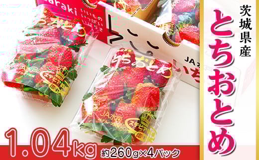 002茨城県産いちご「とちおとめ」1.04kg(4パック)【2026年1月中旬頃〜3月下旬頃発送予定】茨城県茨城町10000果物・フルーツいちご