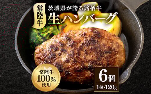 生ハンバーグ120g×6個 常陸牛 100% 512茨城県茨城町10000肉加工肉(ハム・ソーセージ等)