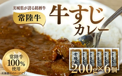 牛すじカレー 200g×6個 茨城県 ブランド牛 常陸牛 使用 521茨城県茨城町9000鍋セット・総菜・加工食品総菜