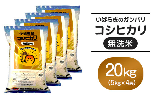 555 無洗米 こしひかり 20kg 5kg × 4袋 全農 茨城 パールライス 無洗コシヒカリ 令和6年茨城県茨城町42000米・パン白米