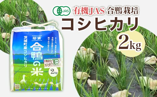 yߘa7NYzRVqJ 2kg t@[hƂ569錧钬10500āEp
