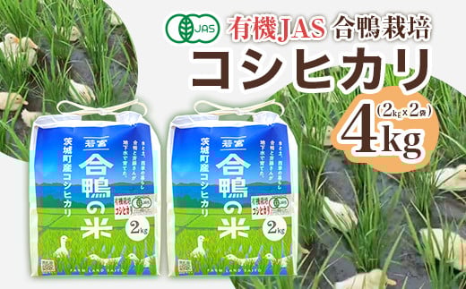 yߘa7NYzRVqJ 4kg t@[hƂ 570錧钬18000āEp
