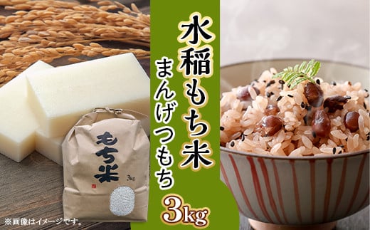 606 【令和7年産】水稲もち 2升 3kg茨城県茨城町10500米・パン玄米・雑穀米・もち米・餅
