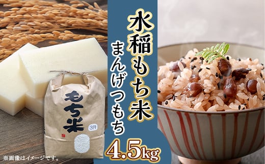 607 【令和7年産】水稲もち 3升 4.5kg茨城県茨城町14500米・パン玄米・雑穀米・もち米・餅