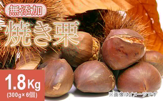 618 茨城県産焼き栗 1.8kg(300g×6個入)【ウエノファーム】茨城県茨城町25000果物・フルーツその他 果物・フルーツ