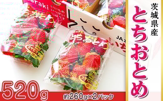 661 錧YuƂƂ߁v520gi2pbNjy2026N1{`3{\z錧钬7000ʕEt[c