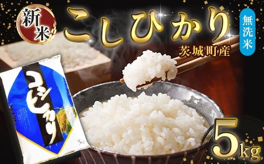 684 【令和7年産】茨城町産 無洗米 こしひかり 5kg【野口ライス】茨城県茨城町17500米・パン白米
