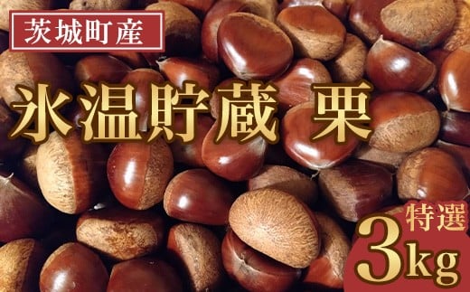 693 氷温貯蔵 栗 特選 3L 3kg【海老澤農園】茨城県茨城町17000果物・フルーツその他 果物・フルーツ