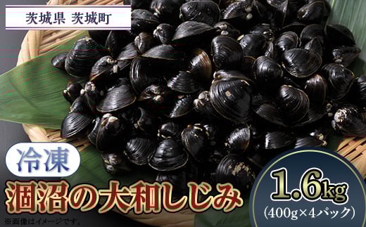 054̑a݁yⓀz1.6kgi400g×4pbNj錧钬10500ECYL