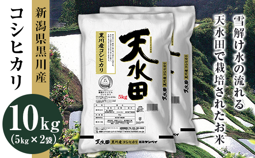 27-101B新潟県黒川産コシヒカリ10kg(5kg×2袋)【天水田】新潟県胎内市28000米・パン白米