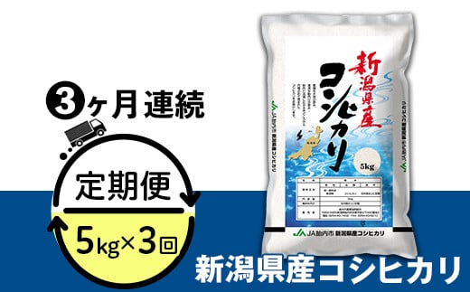 23-K53R6B【3ヶ月連続お届け】新潟県中条産コシヒカリ5kg新潟県胎内市35000米・パン白米