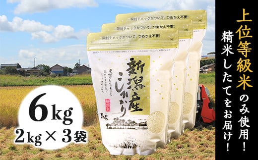 31-K61新潟県産コシヒカリ6kg(2kg×3袋)新潟県胎内市20000米・パン白米