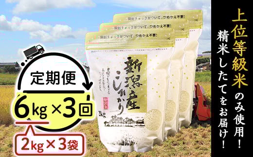 31-K63【3ヶ月連続お届け】新潟県産コシヒカリ6kg(2kg×3袋)新潟県胎内市58000米・パン白米
