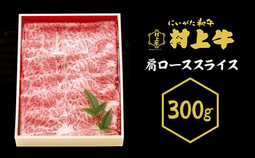 23-15јay㋍z[XXCX300gVٓs30000