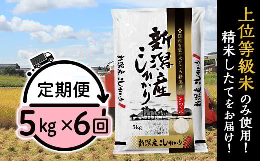 31-K56【6ヶ月連続お届け】新潟県産コシヒカリ5kg新潟県胎内市96000米・パン白米