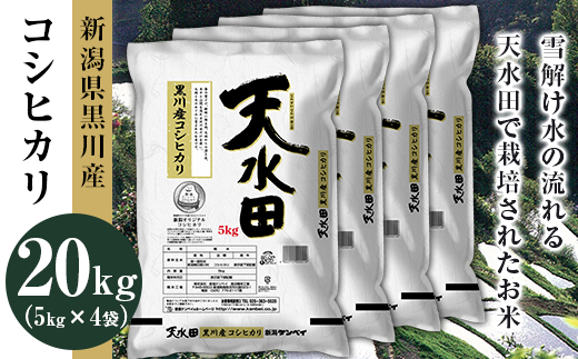 27-201B新潟県黒川産コシヒカリ20kg(5kg×4袋)【天水田】新潟県胎内市56000米・パン白米