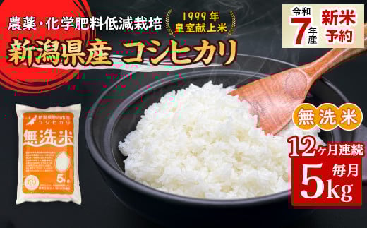 16-M05Z【12ヶ月連続お届け】新潟県胎内市産コシヒカリ【無洗米】5kg新潟県胎内市198000米・パン無洗米