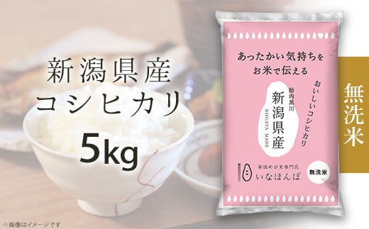 27-M51B【無洗米】新潟県産コシヒカリ5kg新潟県胎内市15000米・パン白米