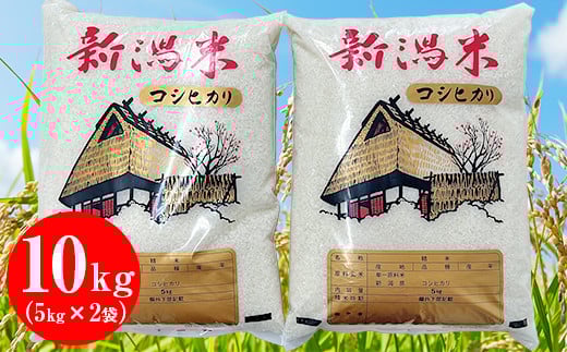 新潟県産コシヒカリ10kg(5kg×2袋)【片野周一】新潟県胎内市16000米・パン白米