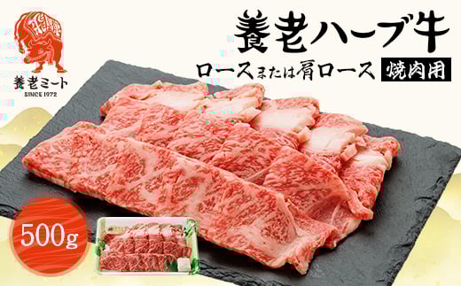 {Vn[u@[X܂͌[X@ēp@500gy1273633z򕌌{V10000