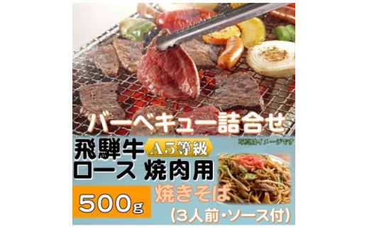 飛騨牛ロース5等級500g・焼きそば3人前(ソース付) バーベキューセット【1416387】岐阜県養老町20000麺その他 麺