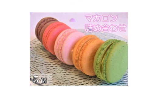 }J5ly1432777z򕌌{V8000َqEXC[cĂَq