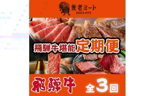 <毎月定期便>月替わりで色々な飛騨牛を楽しめる全3回_ 飛騨牛 牛肉 定期便 肉 黒毛和牛 国産牛 ブランド牛 霜降り ステーキ すきやき すき焼き しゃぶしゃぶ 牛 にく ロース モモ カタ 贈