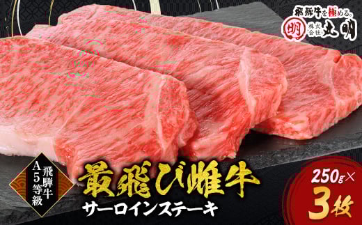 <最飛び雌牛>飛騨牛A5等級サーロインステーキ 250g×3枚【1520145】岐阜県養老町60000肉牛肉