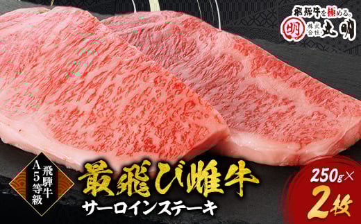 <最飛び雌牛>飛騨牛A5等級サーロインステーキ 250g×2枚【1520149】岐阜県養老町40000肉牛肉