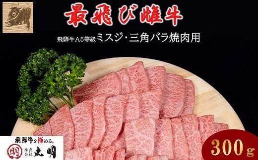 <最飛び雌牛>飛騨牛A5等級ミスジ・三角バラ焼肉用 300g【1520158】岐阜県養老町16000肉牛肉