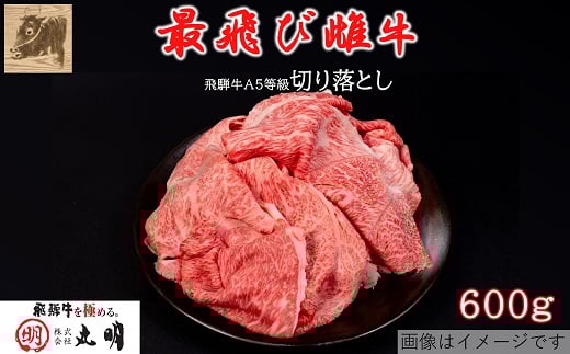 <最飛び雌牛>飛騨牛A5等級切り落とし 600g【1520140】岐阜県養老町16000肉牛肉