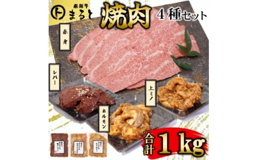 <飛騨牛>焼肉4種セットB-4 赤身焼肉&味付けセット 合計1kg【1616698】岐阜県養老町20000肉牛肉