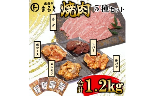 <飛騨牛>焼肉5種セット 赤身焼肉&味付け牛ホルモンなど 合計1.2kg【1616701】岐阜県養老町21000肉牛肉