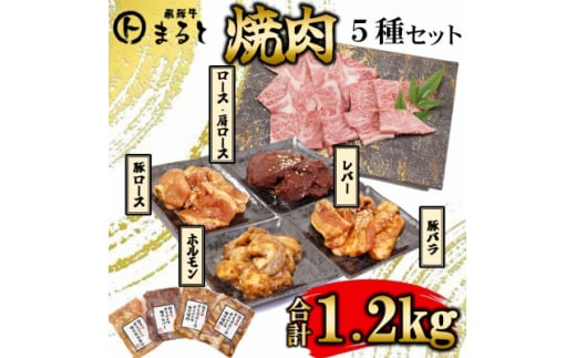 <飛騨牛>焼肉5種セットA-5 ロース・肩ロースと味付けホルモンなど 合計1.2kg【1619901】岐阜県養老町23000肉牛肉