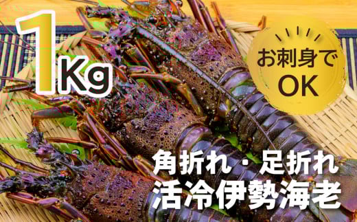 ɐсij2`7i1.0kgjo^o^pƑƂꂿႢ܂@q󂠂r Ε  hg VR j CN  BBQ o[xL[ ݂`yCC21zOdIk36000EC