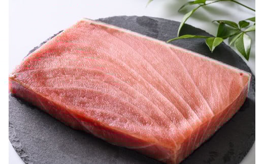 まぐろ三昧セット〈本鮪の中トロ200g×2・ネギトロ100g×4袋〉〈おすすめ返礼品〉【C47】三重県紀北町33000魚介・海産物鮮魚
