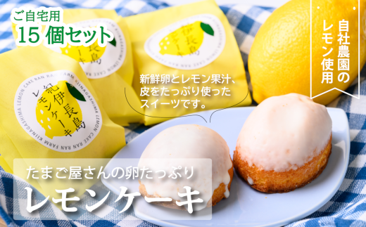 「紀伊長島レモンケーキ」15個入り(ご自宅用) 卵卵ふわぁ〜む【RA09】三重県紀北町13000菓子・スイーツその他 洋菓子