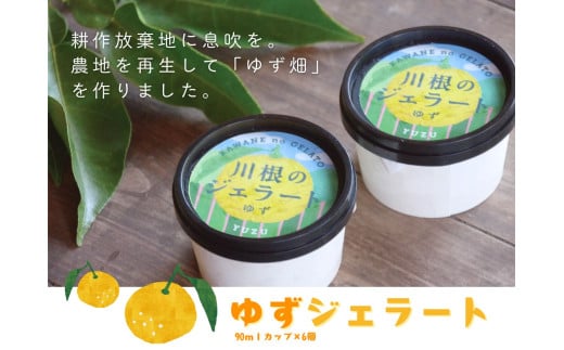 11-81 ゆずジェラート(90mlカップ×6個)静岡県川根本町11000菓子・スイーツアイス・ジェラート