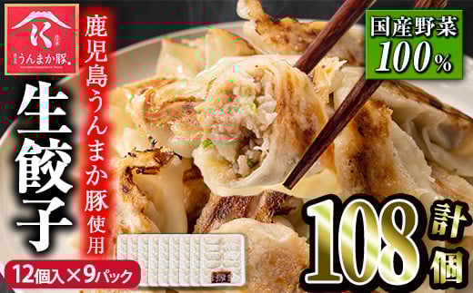 s116 タレ付き!鹿児島うんまか豚生餃子(計108個・12個入り×9P) 鹿児島 冷凍 にんにく・ニラ不使用 国産野菜100% ぎょうざ 餃子 ギョーザ 焼き餃子 水餃子 生餃子 おかず【肉の寺師】鹿児島県