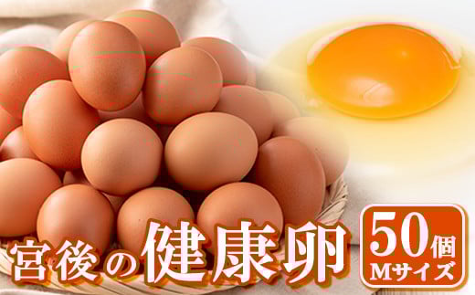 s413 産地直送!さつま町の豊かな自然の中で育った宮後の健康卵!(Mサイズ・計50個) 鹿児島 国産 九州産 たまご 卵 鶏卵 産地直送 卵かけご飯 卵焼き【宮後養鶏】鹿児島県さつま町9000卵・乳